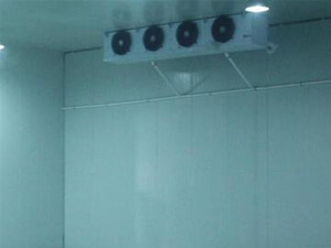三個(gè)小技巧，輕松辨別真假冷庫(kù)安裝公司